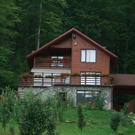 Villa Mara Sinaia Ngoại thất bức ảnh