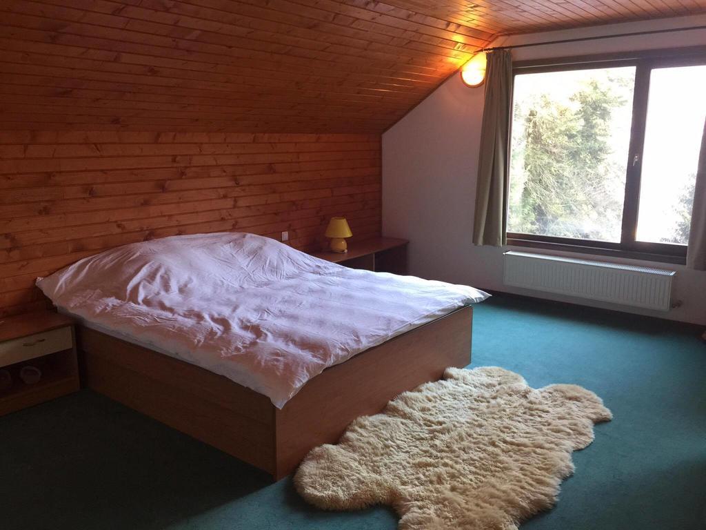 Villa Mara Sinaia Ngoại thất bức ảnh