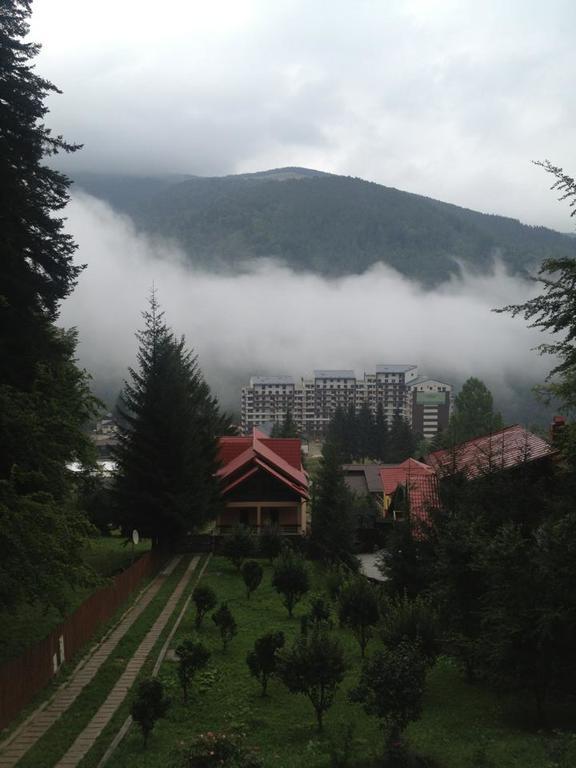 Villa Mara Sinaia Ngoại thất bức ảnh