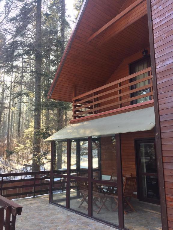 Villa Mara Sinaia Ngoại thất bức ảnh
