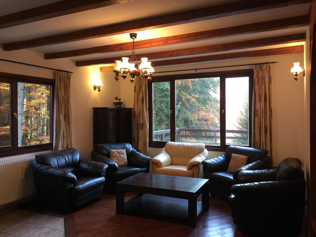 Villa Mara Sinaia Ngoại thất bức ảnh