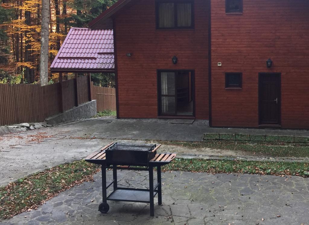 Villa Mara Sinaia Ngoại thất bức ảnh
